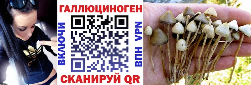 Галлюциногенные грибы мицелий  Котово 