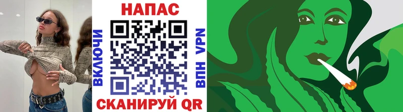 shop официальный сайт Котово Бошки марихуана Amnesia